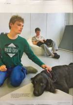 Therapiehunde-3